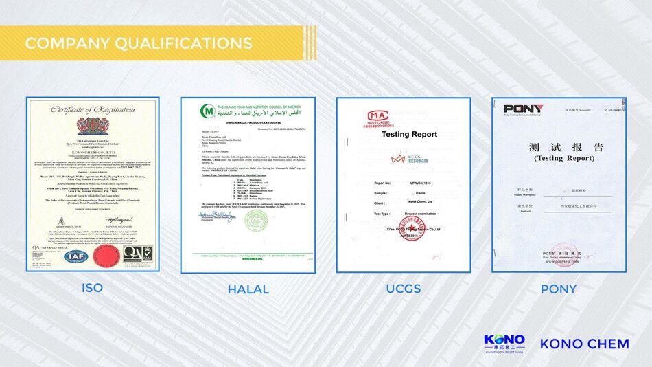 Company Certificate