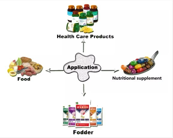 Application of Sulbutiamine