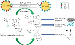 Calcium Lignosulfonate Function Calcium Lignosulfonate Function