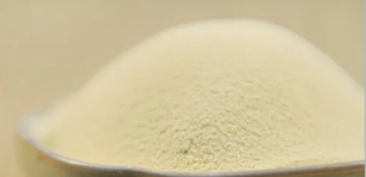 Yeast Extract Yeast Extract